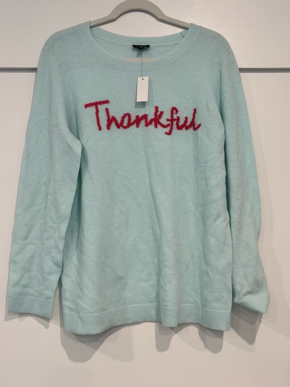 Talbots Light Blue Thankful Sweater Size X